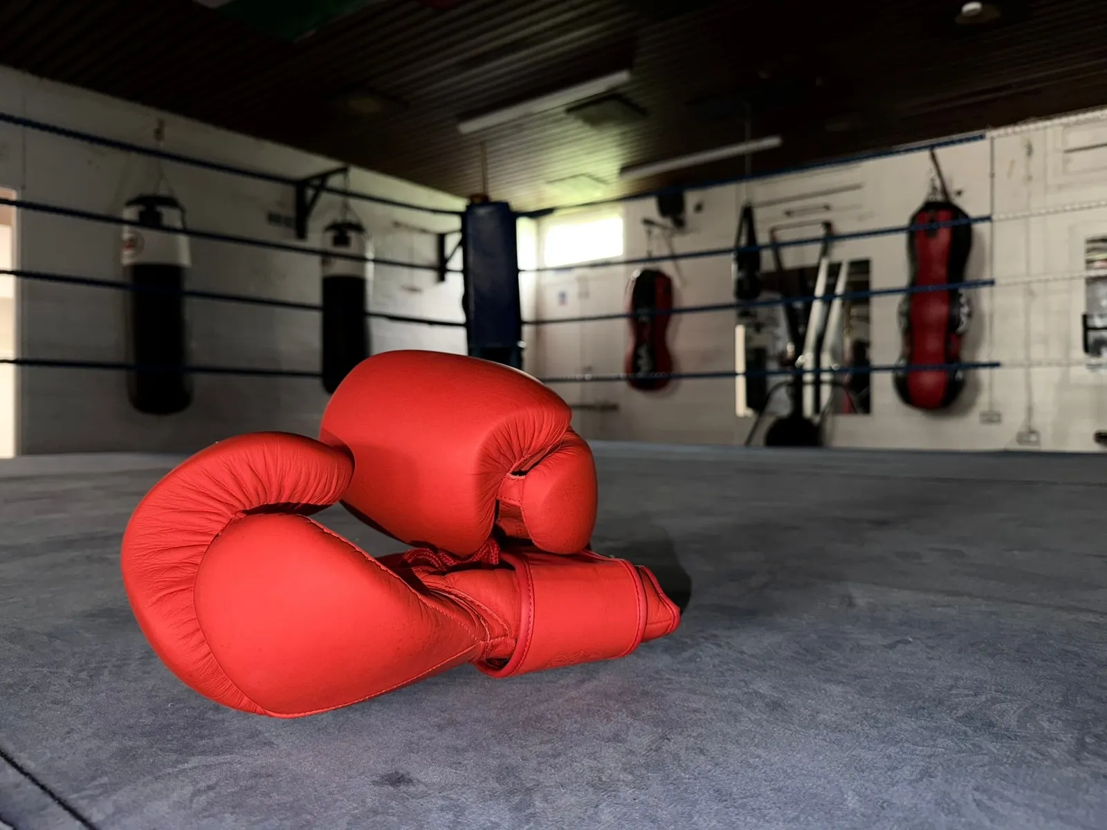 Leigh boxing and fitness gym — boxing-studio in Leigh — 3