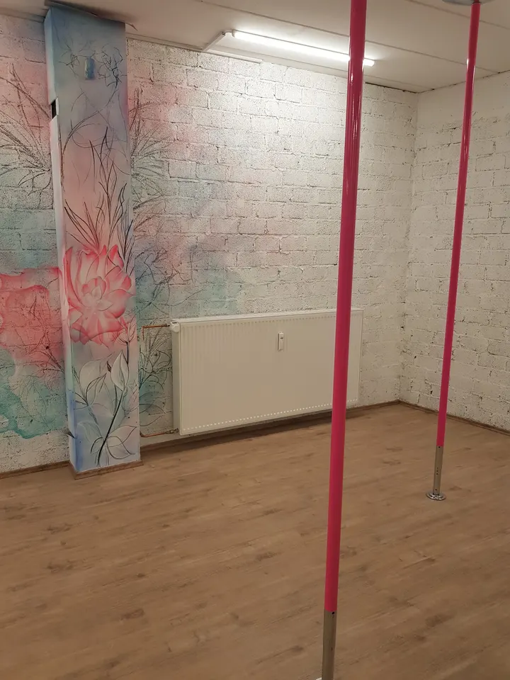 Polefamily Koblenz — pole fitness-studio in Altstadt, Koblenz — 2