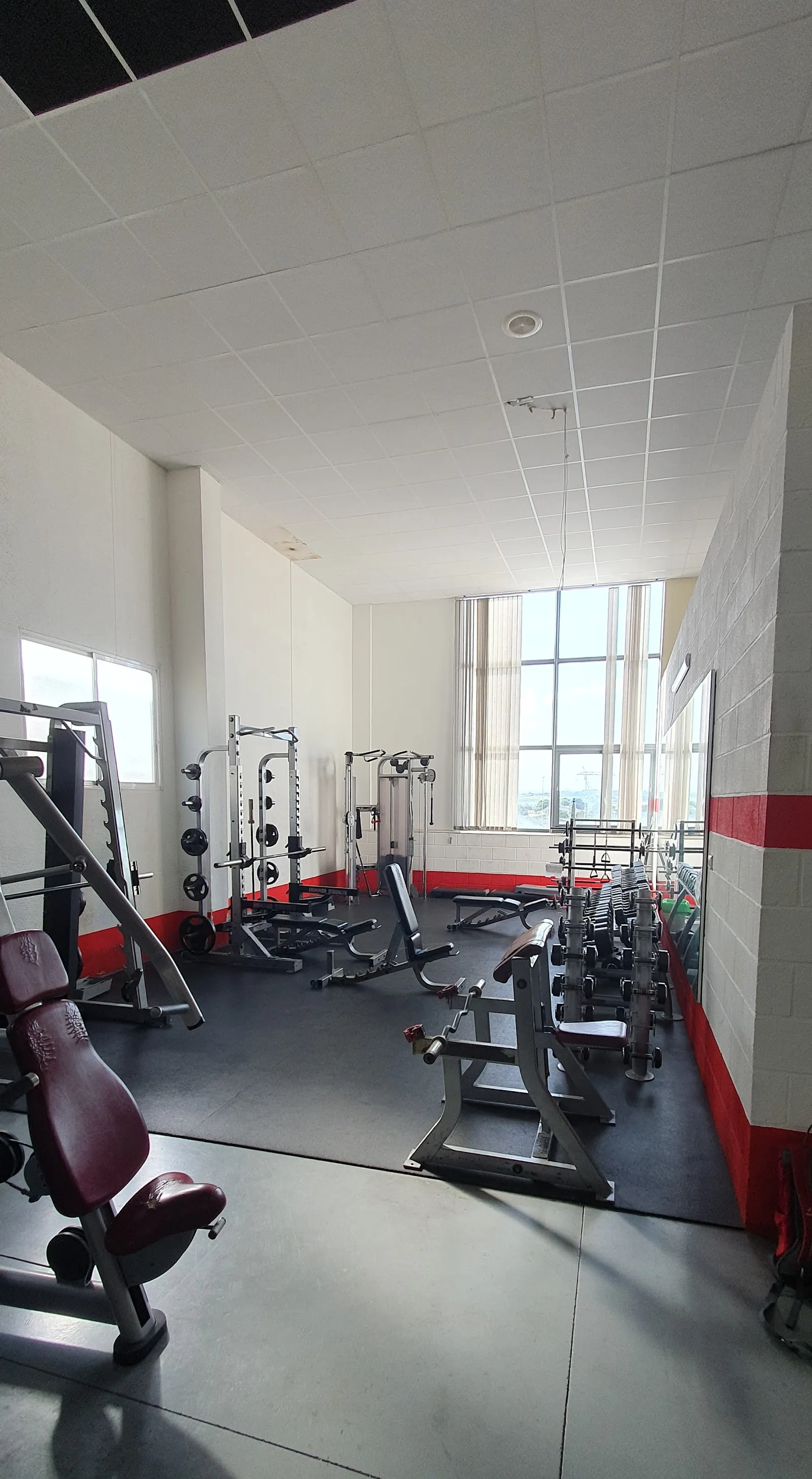 Elite Fitness Quesada — estudio de fitness-studio en Rojales — 2