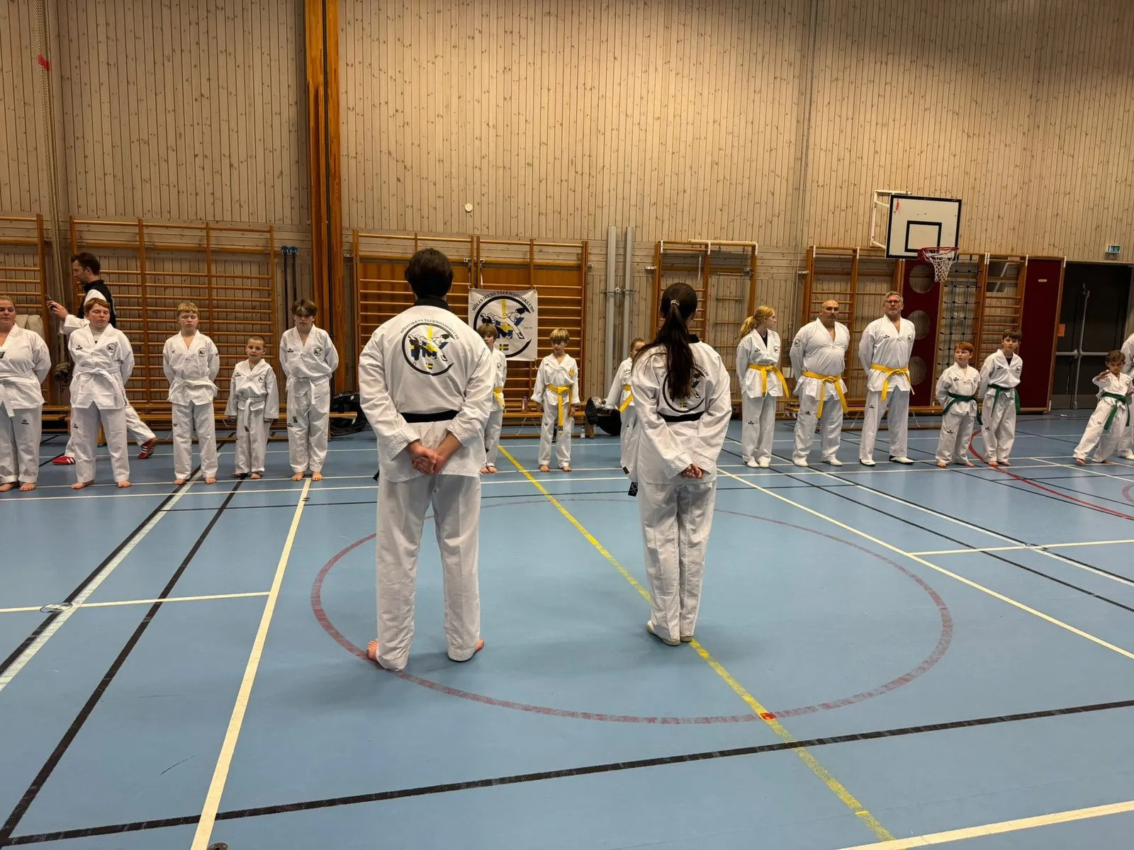 Höllvikens Taekwondoklubb — kampsport-studio i Höllviken — bild 3