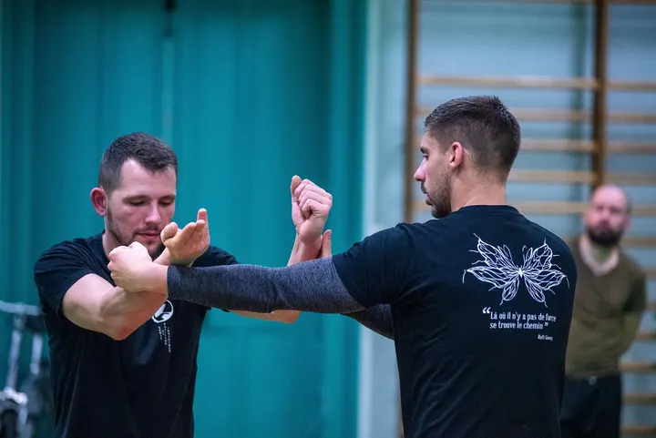 Wing Chun Angers — Arts martiaux à Deux-Croix - Banchais, Angers