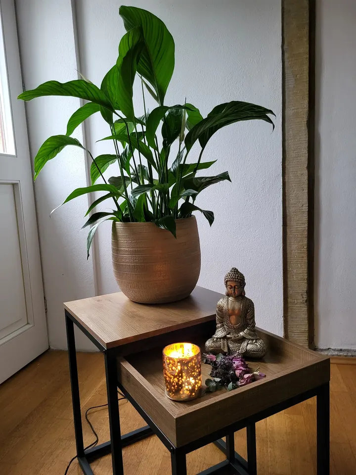 YAM - Yoga Atelier Mitte — yoga-studio in Wilsdruffer Vorstadt/Seevorstadt-West, Dresden — 2
