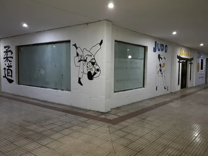 JUDO ALCALÁ GARCÍA — Artes marciales en Campo del Ángel, Alcalá de Henares