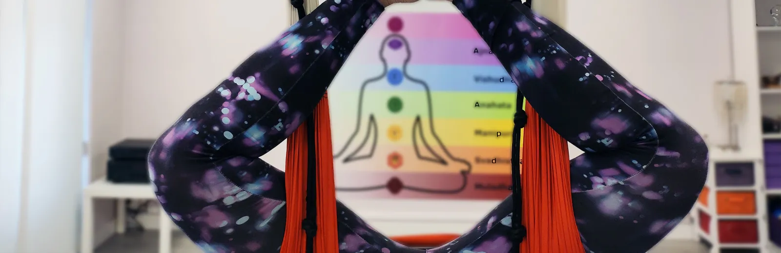 Estudio de AeroYoga Zaragoza - Sala de actividades La Vida en Verde — yoga-studio en Casco Antiguo, Zaragoza — 3