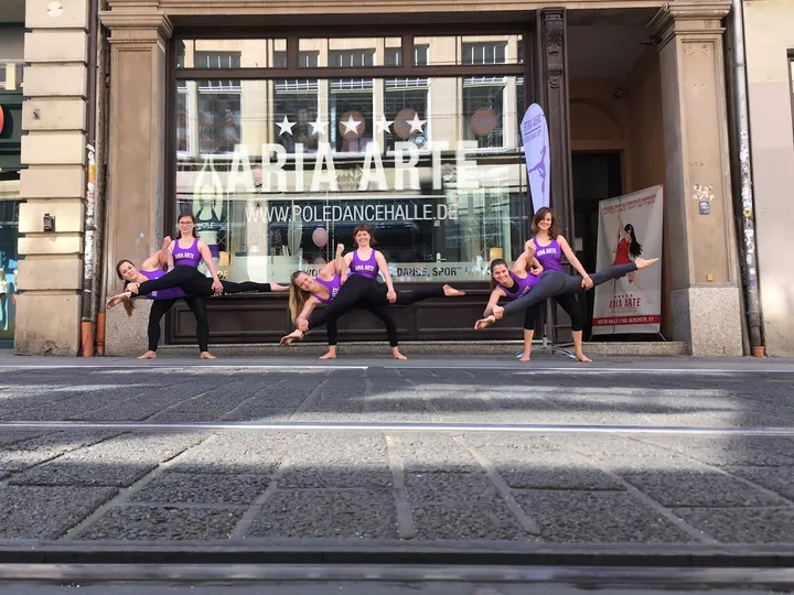aria arte — pole fitness-studio in Altstadt, Halle (Saale) — 3