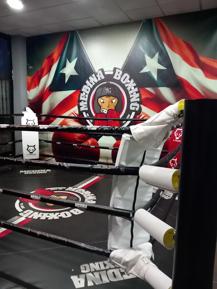 Medina Boxing Club — artes marciales-studio en Avenida de Griñón, Humanes de Madrid — 3