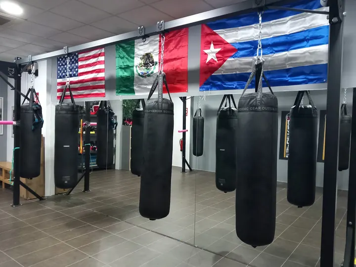Medina Boxing Club — Artes marciales en Avenida de Griñón, Humanes de Madrid