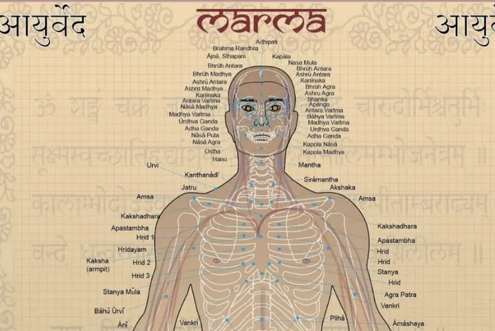 Himalayan Center E Ayurveda — meditazione-studio a San Giuseppe, Padova — 3