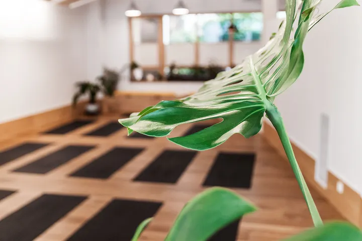 OMY Ondarreta Yoga — yoga-studio en San Sebastián — 4