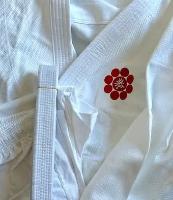 NIPPON KEMPO SHOBUKAI — arts martiaux-studio à Haussonville, Blandan, Donop, Nancy — 2