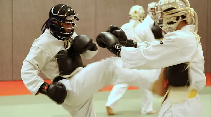 NIPPON KEMPO SHOBUKAI — Arts martiaux à Haussonville, Blandan, Donop, Nancy