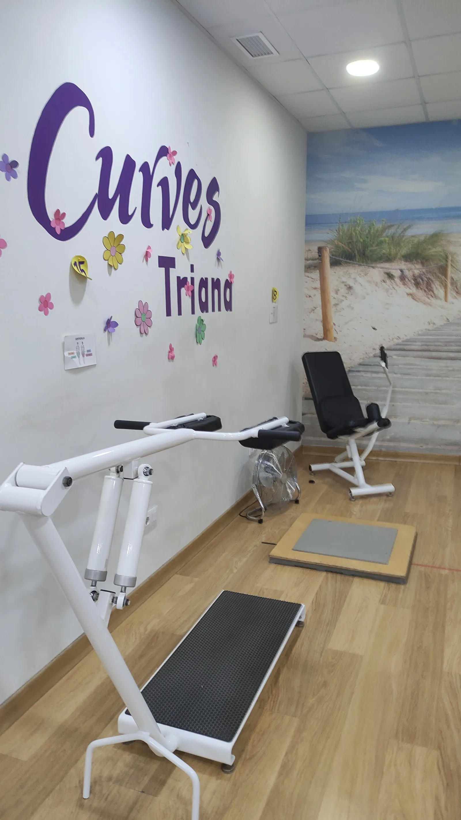 CURVES — estudio de fitness-studio en Sevilla — 5