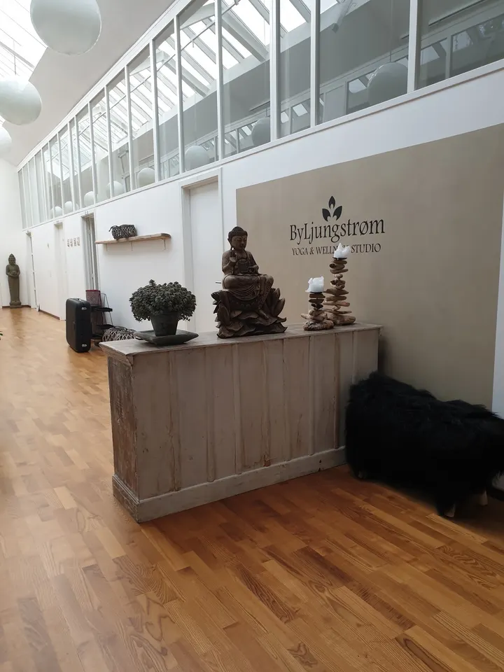 ByLjungstrøm Yoga og Wellness — yoga-studio i Lønholt, Fredensborg — 2
