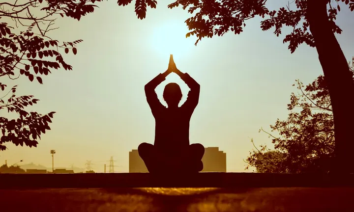 Pranam Yoga - Gorge de Loup Lyon 9eme — Yoga à Vaise, Lyon
