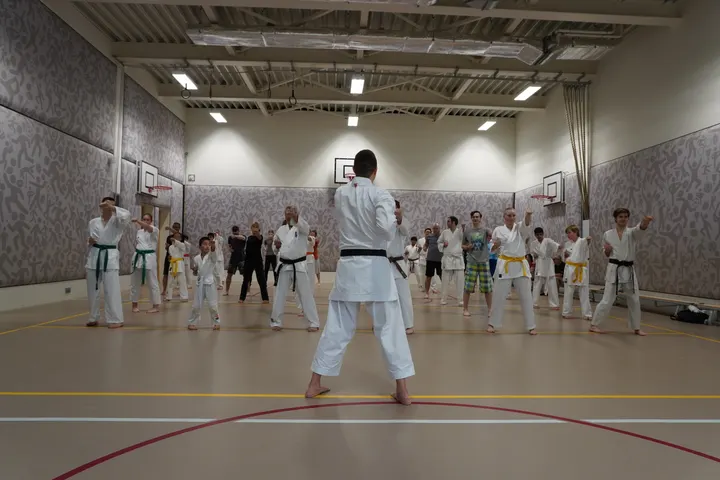 Danketsu — vechtsport-studio in Middelwatering, Capelle aan den IJssel — 2