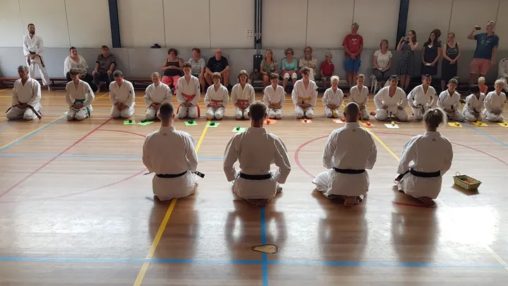 Danketsu — vechtsport-studio in Middelwatering, Capelle aan den IJssel — 3