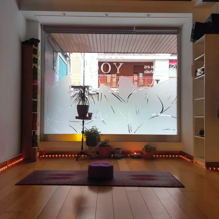 Centro de Yoga Padma Shala — yoga-studio en Irun — 5