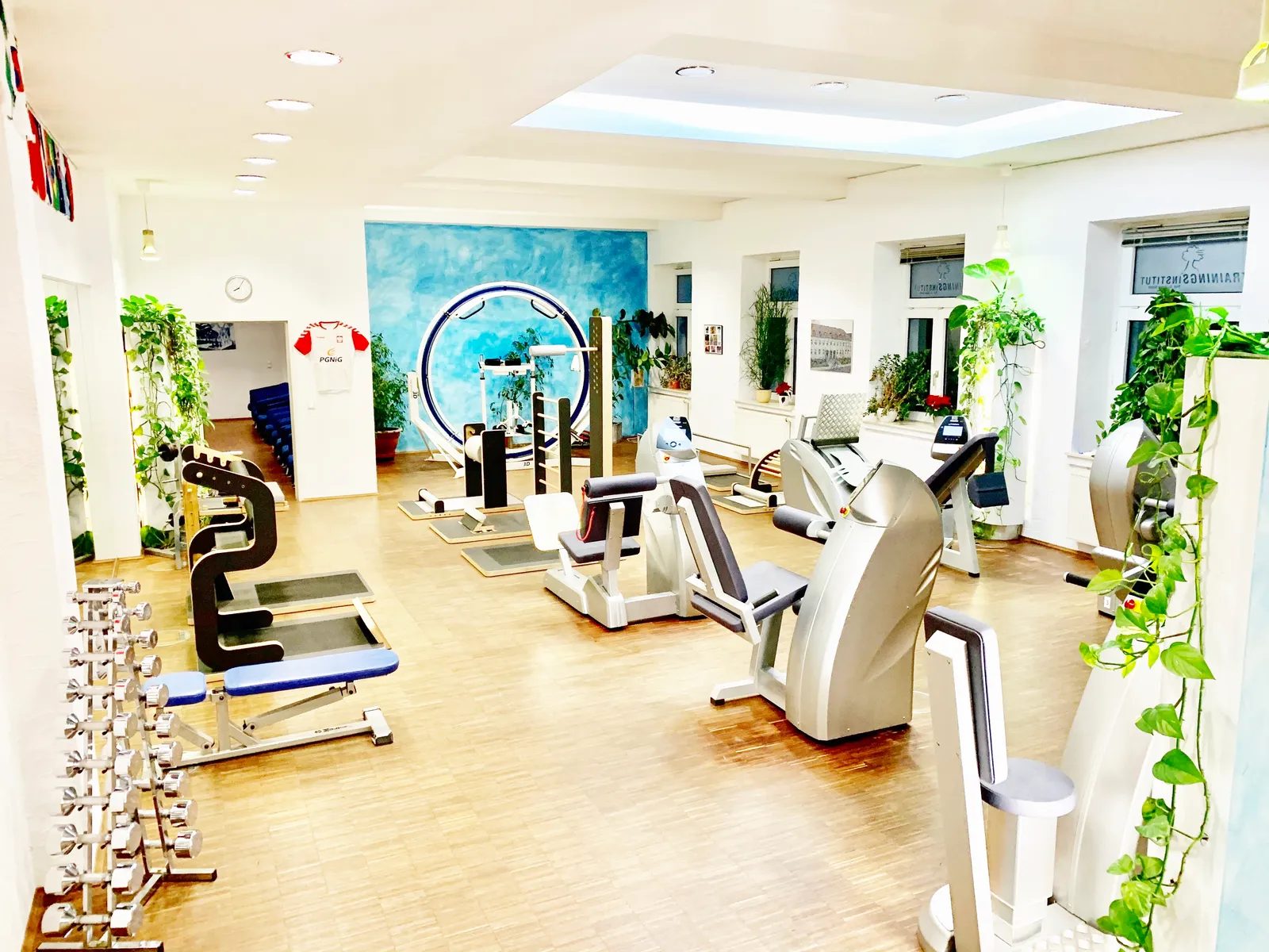 Baum Prof. Dr. Trainingsinstitut — pt-studio in Junkersdorf, Köln — 2