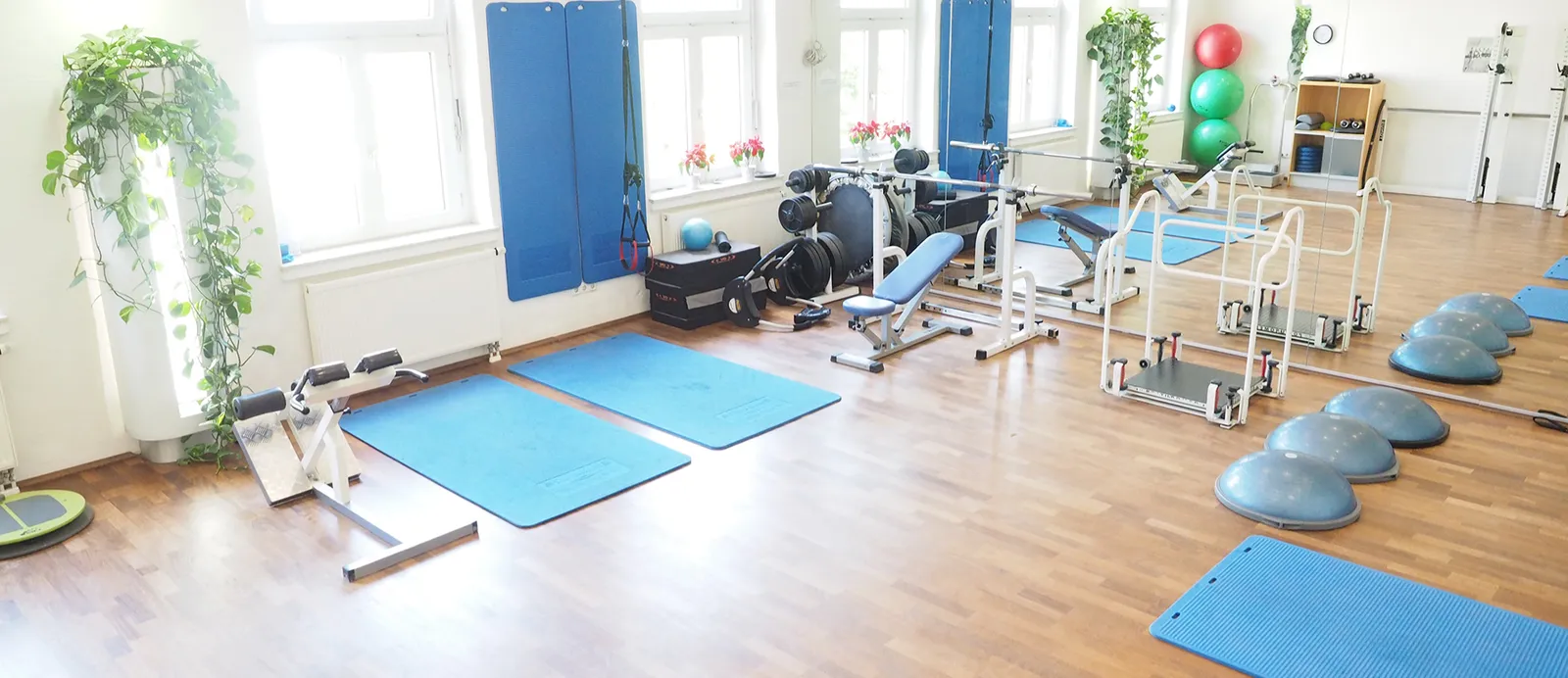 Baum Prof. Dr. Trainingsinstitut — pt-studio in Junkersdorf, Köln — 3