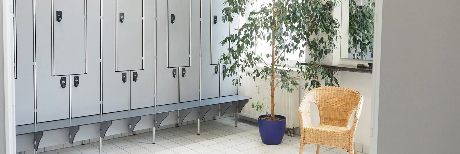 Baum Prof. Dr. Trainingsinstitut — pt-studio in Köln — 4