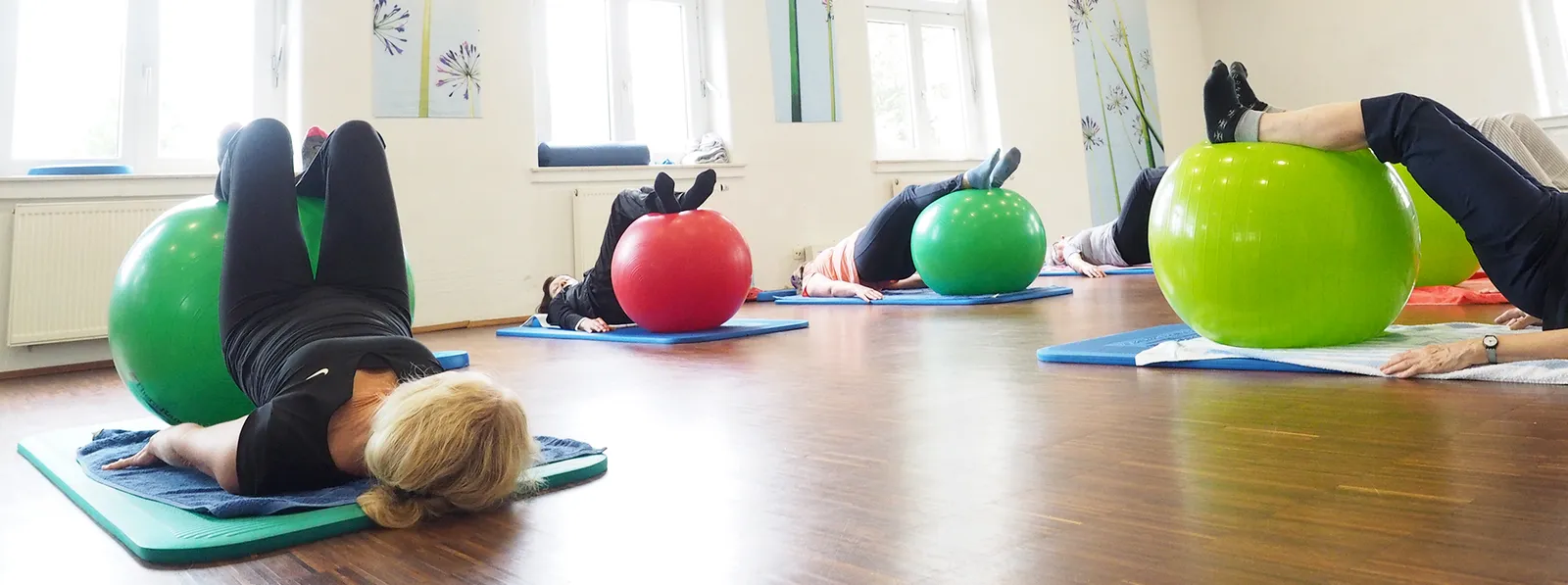 Baum Prof. Dr. Trainingsinstitut — pt-studio in Köln — 5