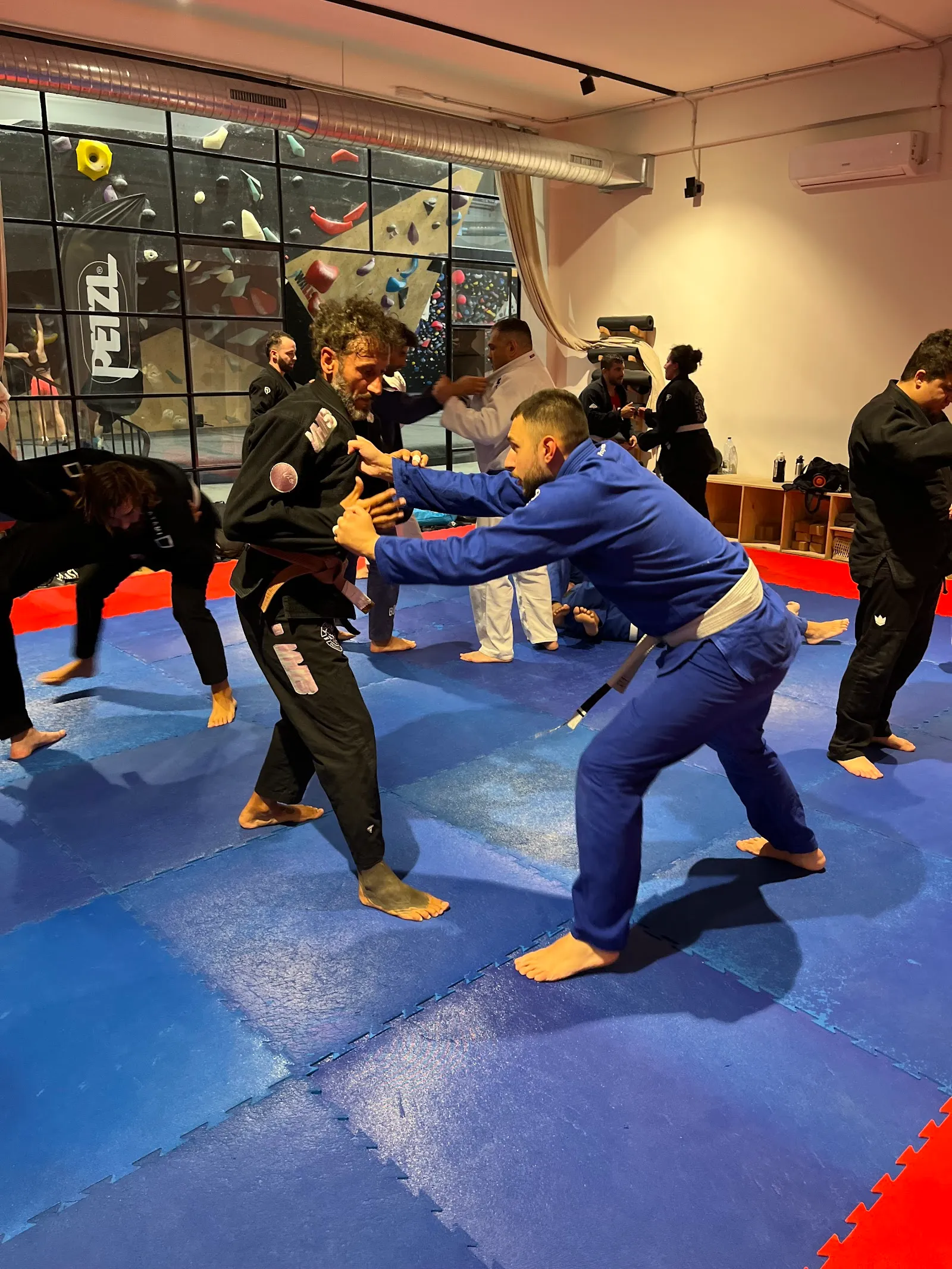 A Coruña Brazilian Jiu Jitsu. CFC Team. — artes marciales-studio en A Coruña — 3