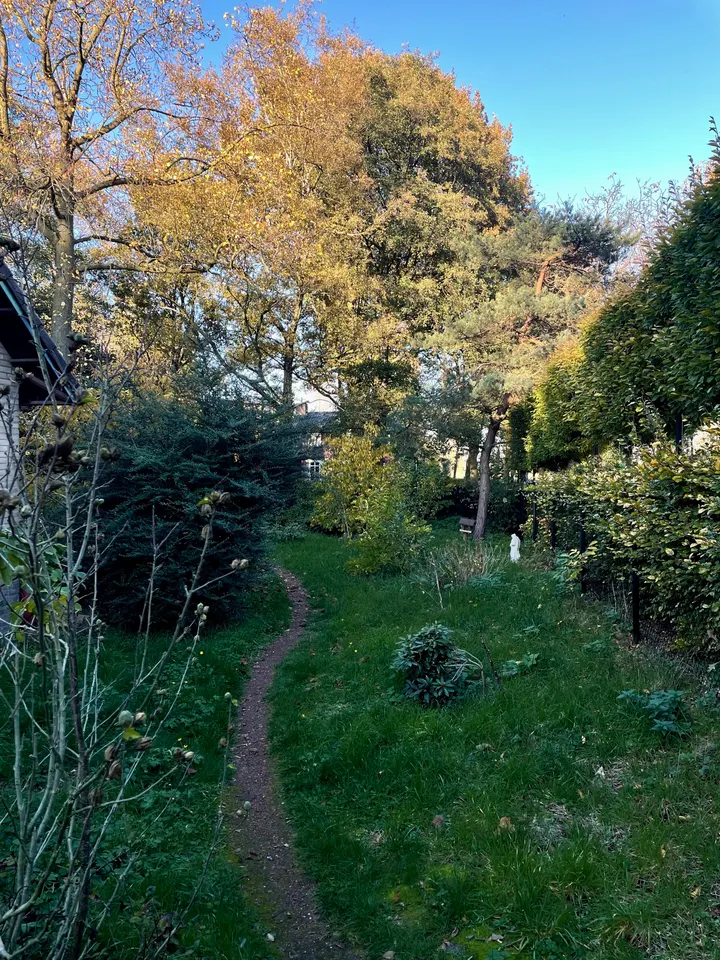 De Berg Rust & Ruimte — yoga-studio in Wijchen — 3