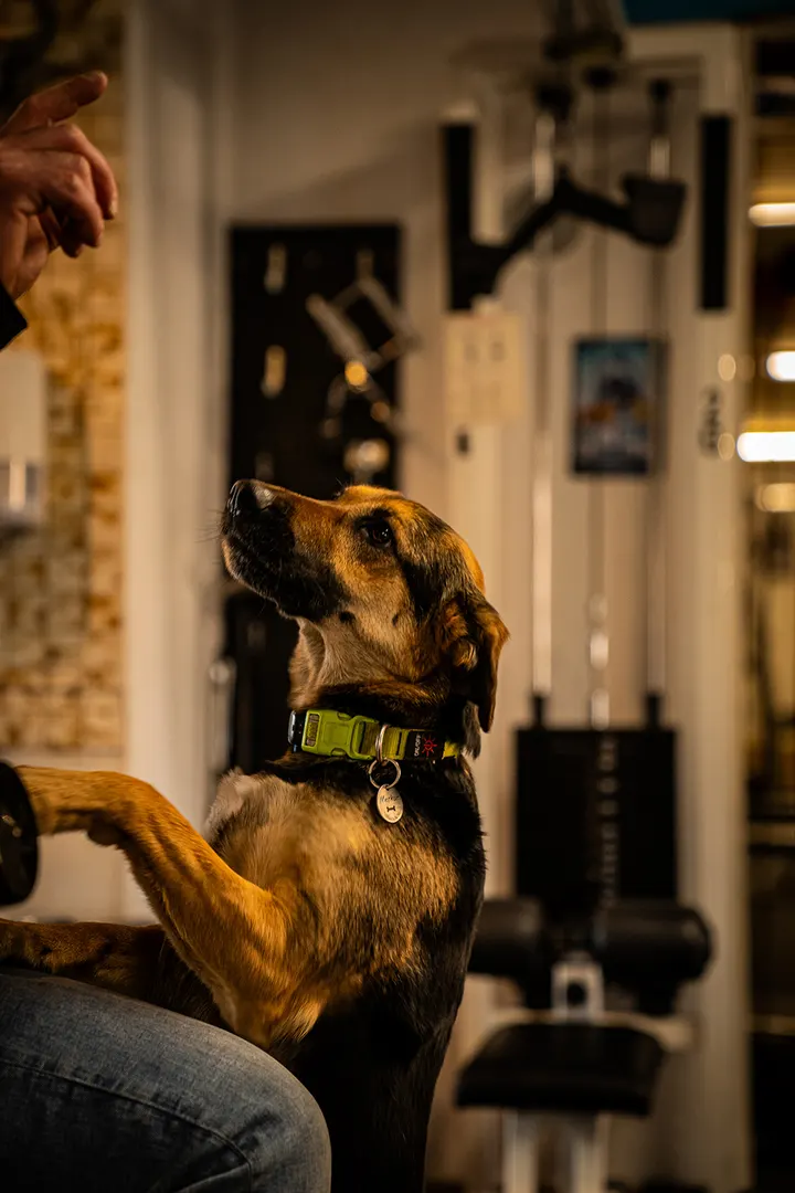 TOP FIT - Sportstudio — fitnessstudio in Baar-Ebenhausen — 3