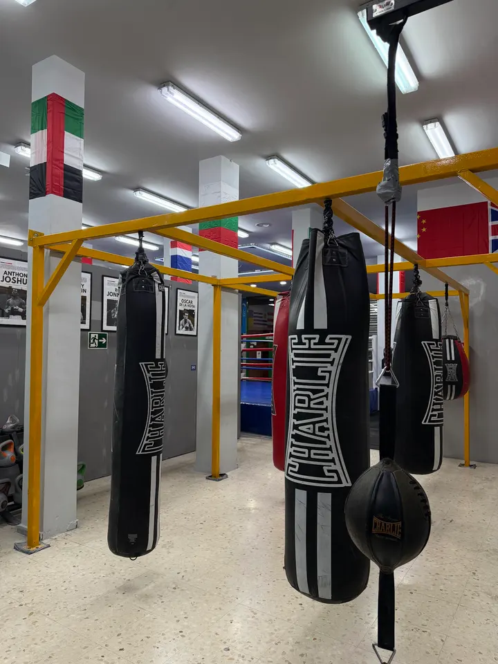 Club de Boxeo QUIROZ BOXING — artes marciales-studio en Villafranquesa, Alicante — 2