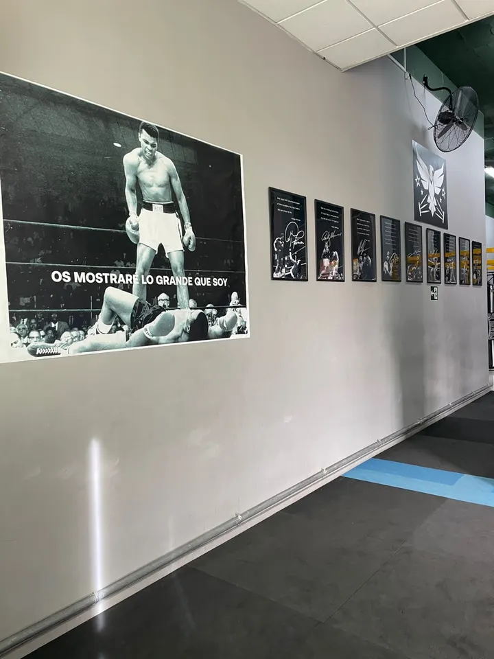 Club de Boxeo QUIROZ BOXING — artes marciales-studio en Alicante — 3