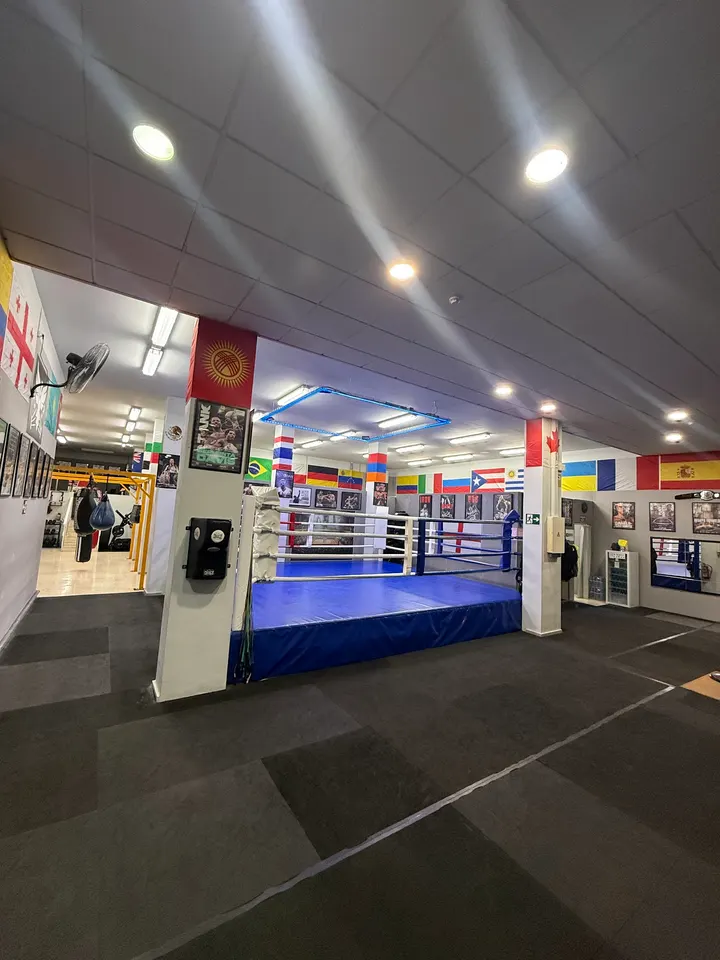Club de Boxeo QUIROZ BOXING — artes marciales-studio en Alicante — 4