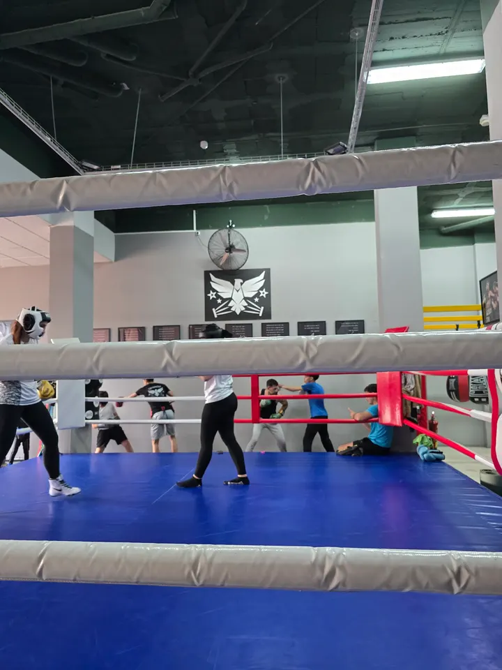 Club de Boxeo QUIROZ BOXING — artes marciales-studio en Alicante — 5