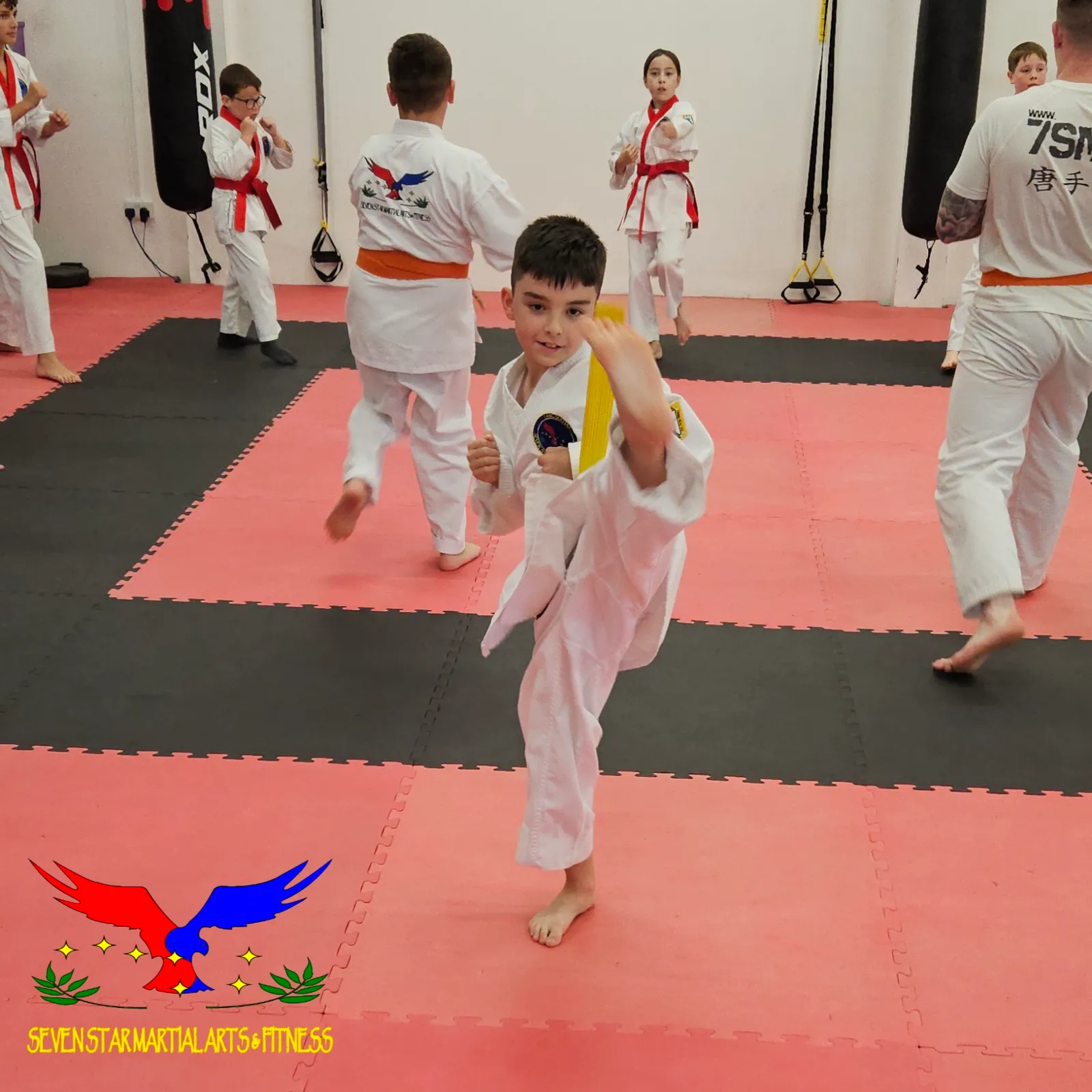 Seven Star Martial Arts & Fitness — martial arts-studio in Neath — 2