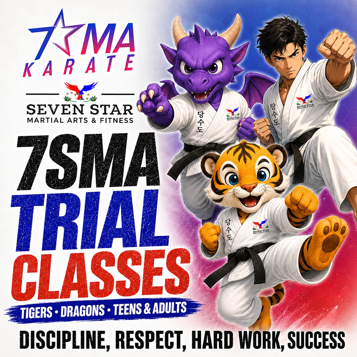 Seven Star Martial Arts & Fitness — martial arts-studio in Neath — 3