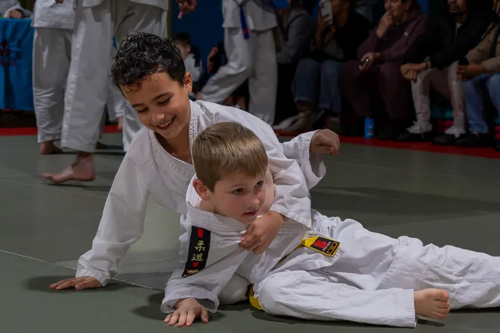 DE BIJL & GROSS JUDO bv — vechtsport-studio in Spijkenisse — 3