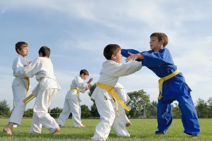 DE BIJL & GROSS JUDO bv — Vechtsport in De Elementen, Spijkenisse