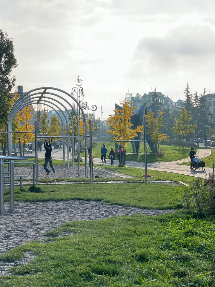 Street Workout /Traveling Rings /Exercise Park — træningsstudio i Nørrebro, København — 2