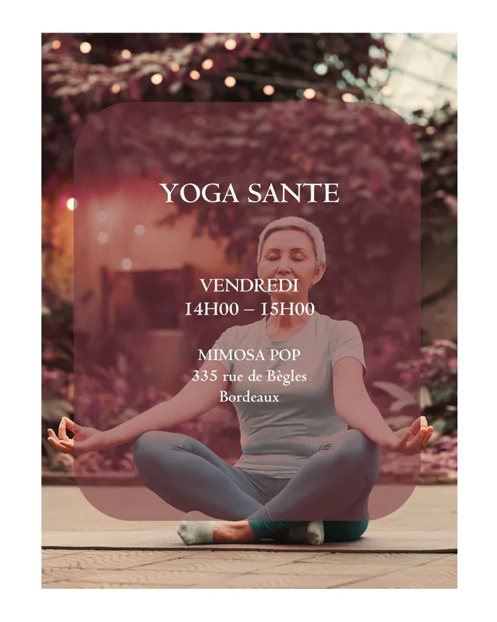 Virginie Janin-Guillot Yoga et Vibrations — yoga-studio à Bordeaux — 4