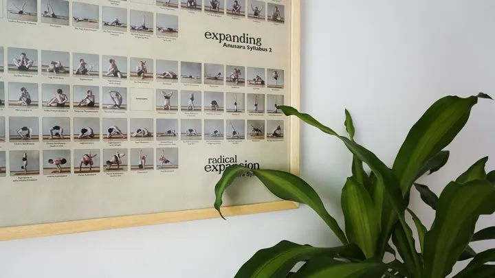 High On Yoga — yoga-studio en Jerez de la Frontera — 5