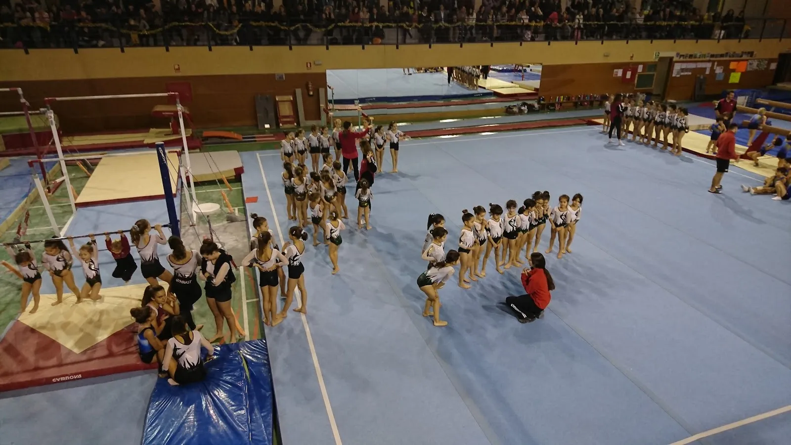 Gràcia Gimnàstic Club — gimnasia-studio en Sants-Montjuïc, Barcelona — 2