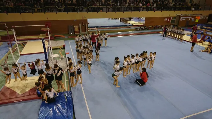 Gràcia Gimnàstic Club — gimnasia-studio en Sants-Montjuïc, Barcelona — 2