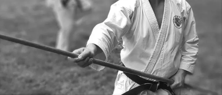 st. Budo Ryu Koersen — Vechtsport in Saendelft, Assendelft