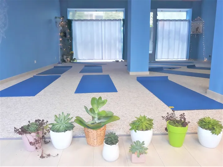 YOGA Camille Bonnet — Yoga à Secteur 4, Grenoble