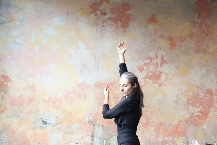 Human Dance — Danse à Paris 15e Arrondissement, Paris