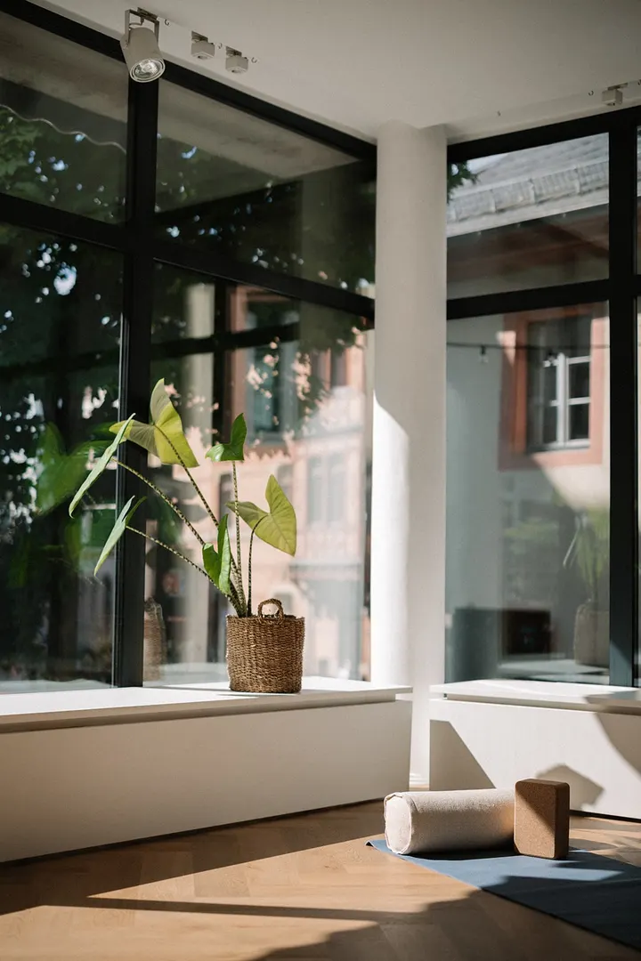 Lieb.Lings Studio — Pilates in Altstadt, Mainz