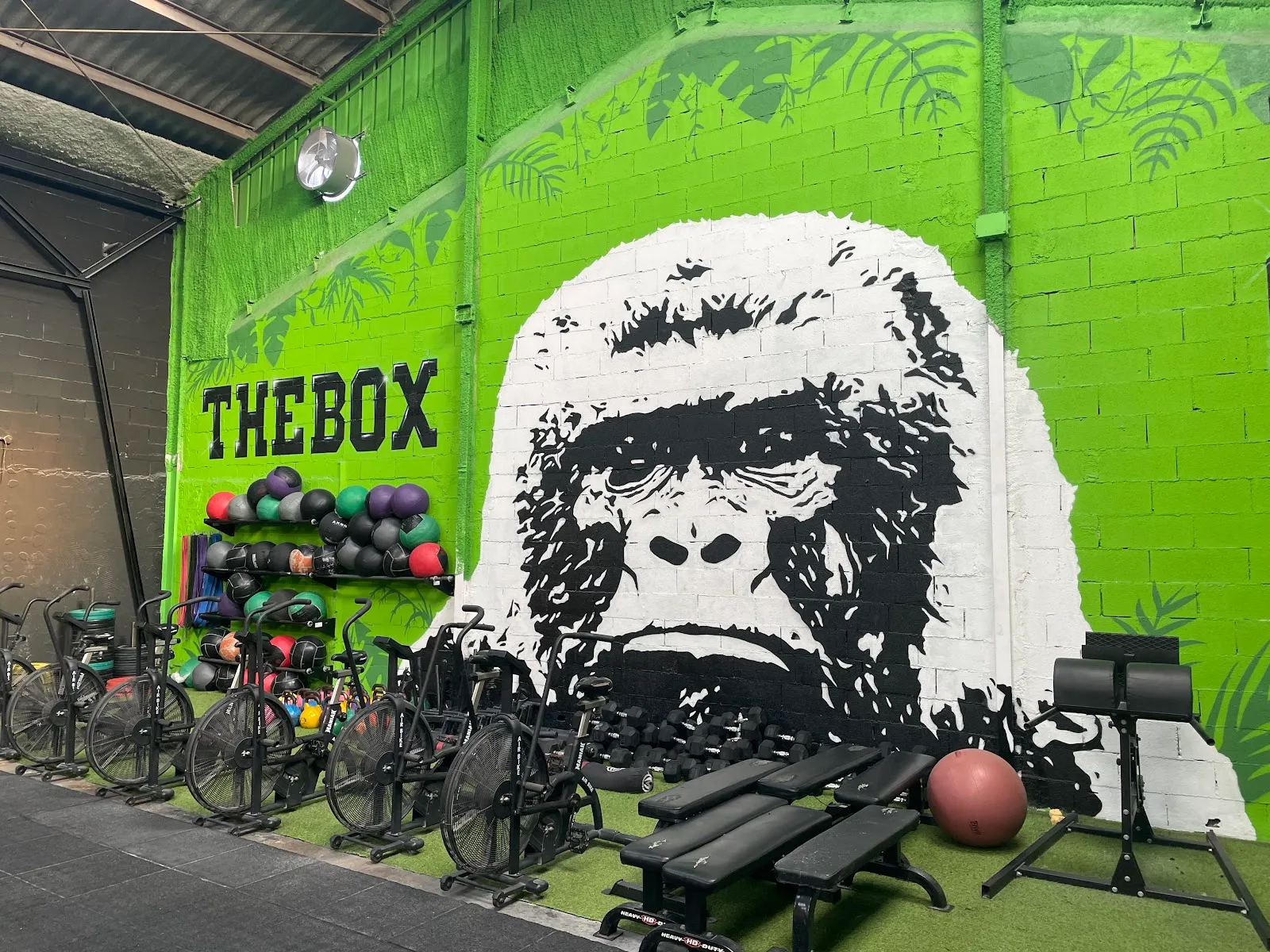 The Box Castellón — crossfit-studio en Castelló de la Plana — 4