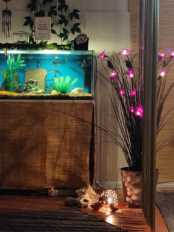 Zoul Fishspa — Wellness i Fjärdingen, Uppsala
