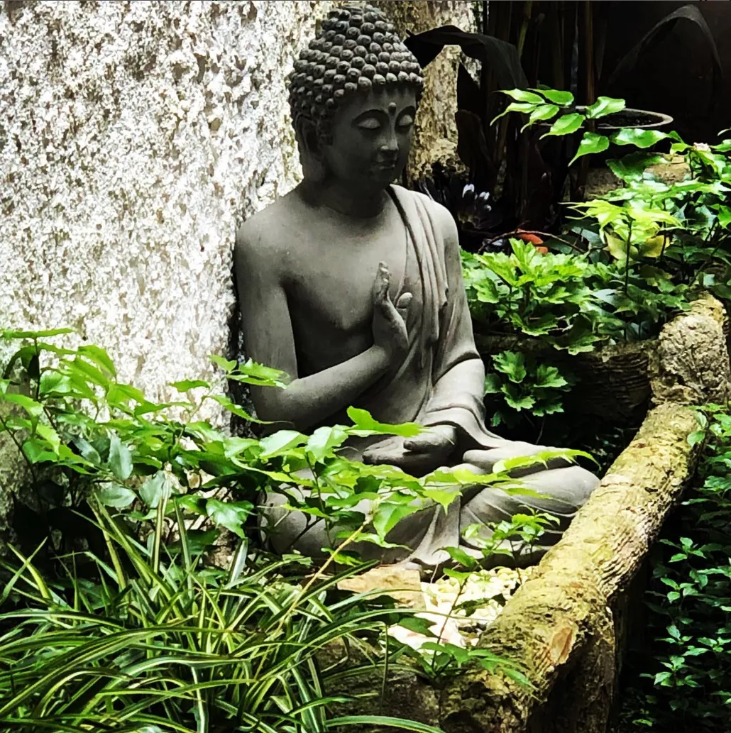 Rels Yoga — yoga-studio en Caldes d'Estrac — 4