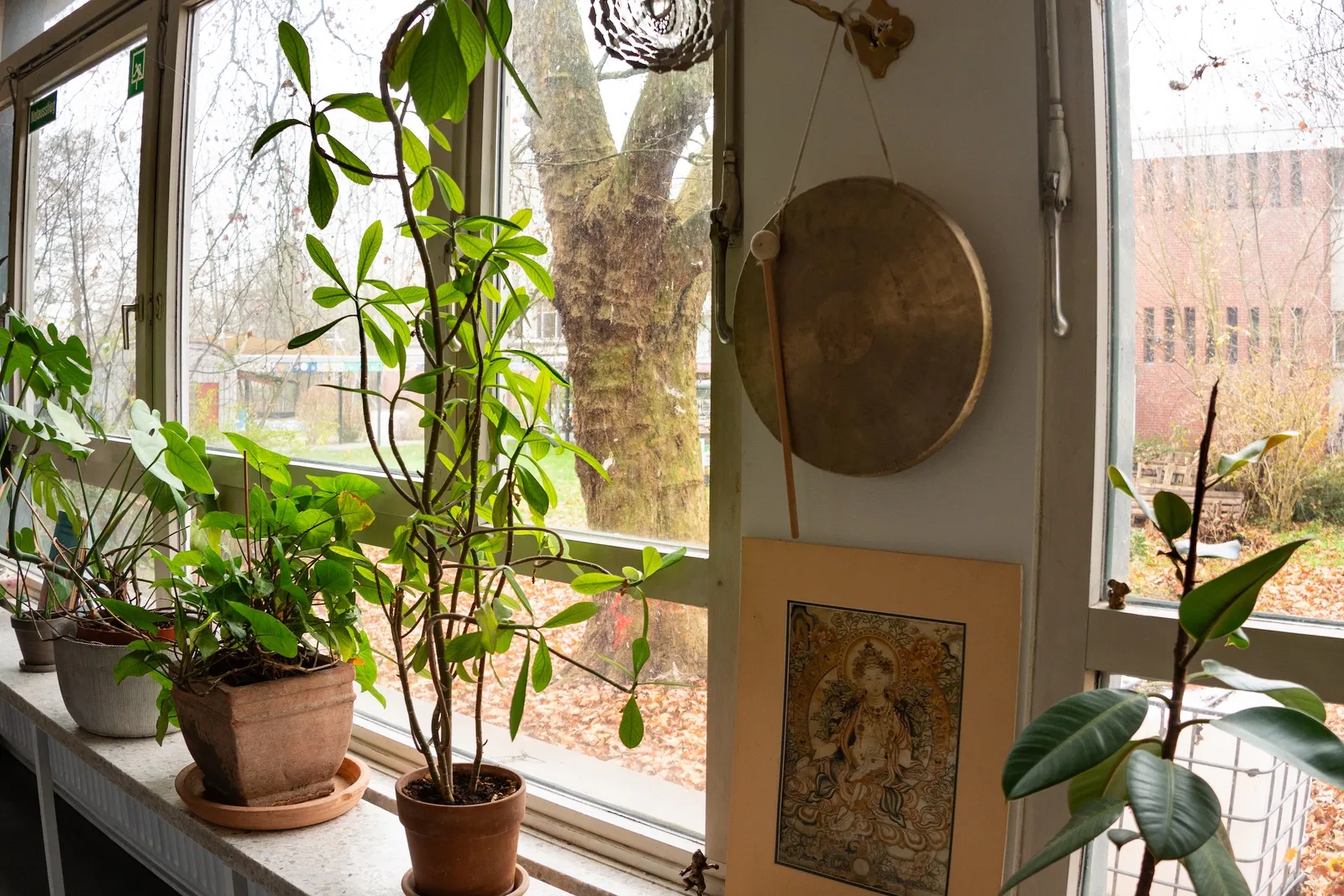 Bewegungsraum Moorburg - Yoga, Tanz und Gymnastik — yoga-studio in Hamburg — 3