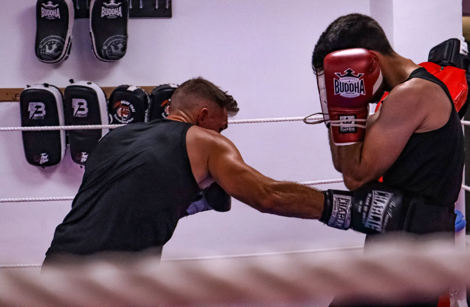 Spahiragym — estudio de fitness-studio en Distrito Poniente Sur, Córdoba — 3
